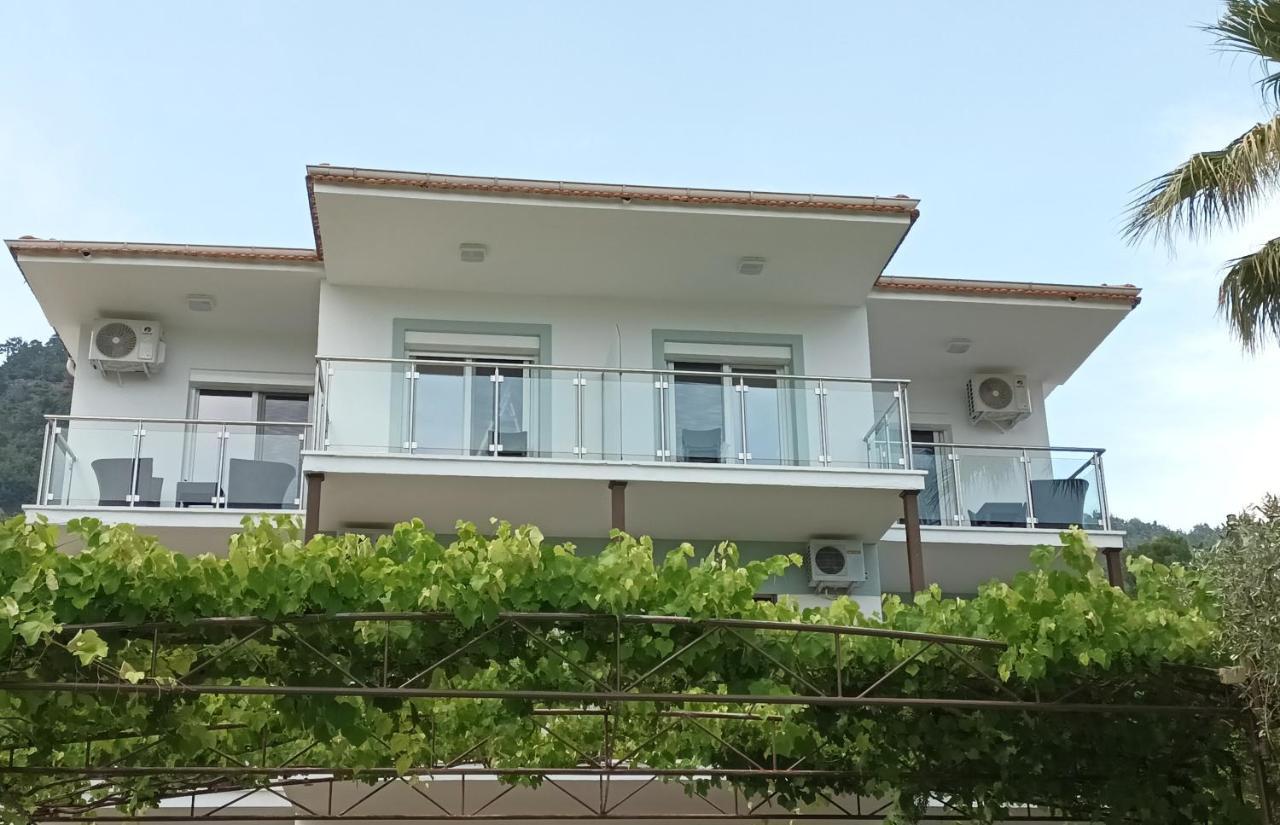 Olive Garden Villas And Apartments 克里斯阿穆迪亚 外观 照片