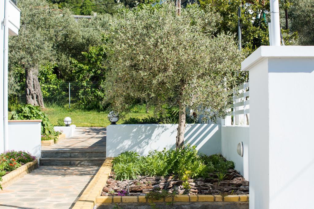 Olive Garden Villas And Apartments 克里斯阿穆迪亚 外观 照片